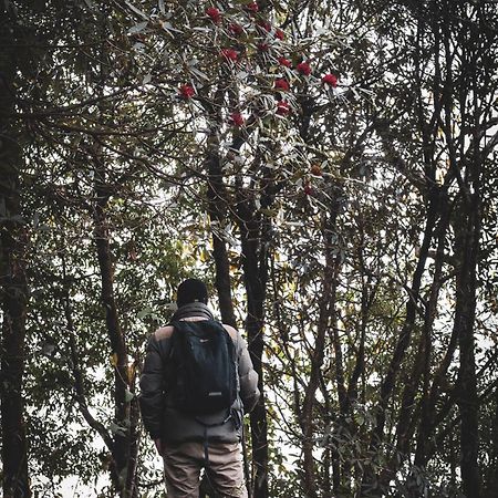 فيلا دارجيلنغفي Rajbari Farms المظهر الخارجي الصورة