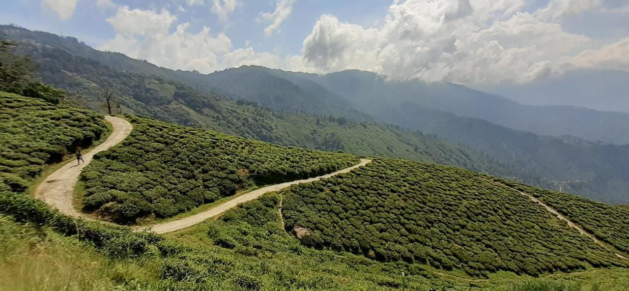 فيلا دارجيلنغفي Rajbari Farms المظهر الخارجي الصورة