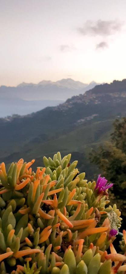 فيلا دارجيلنغفي Rajbari Farms المظهر الخارجي الصورة